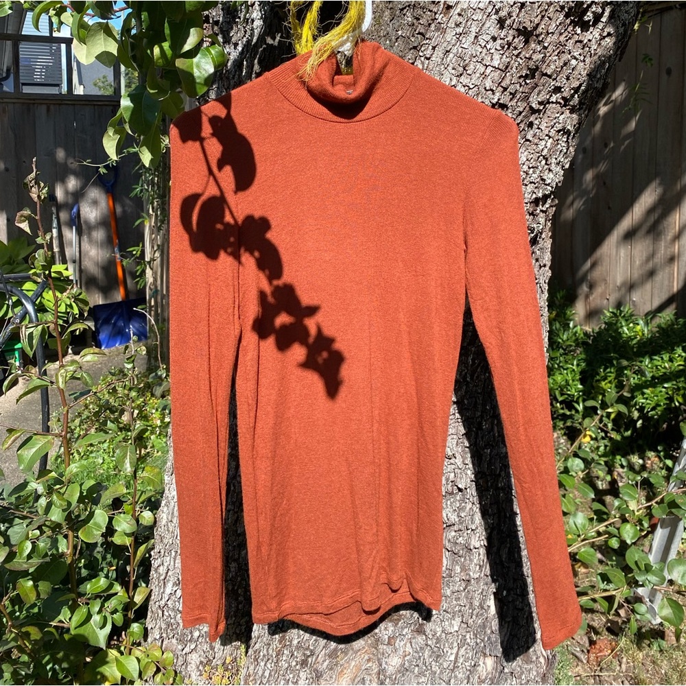 Aritzia- Wilfred - long turtleneck
